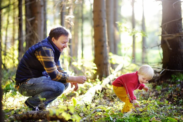 Vater und Sohn beim Wandern im Wald — Stockfoto