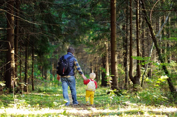 Padre y su hijo caminando durante las actividades de senderismo en el bosque — Foto de Stock