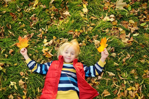 Kleiner Junge Beim Waldspaziergang Einem Sonnigen Herbsttag Verspieltes Kind Das — Stockfoto