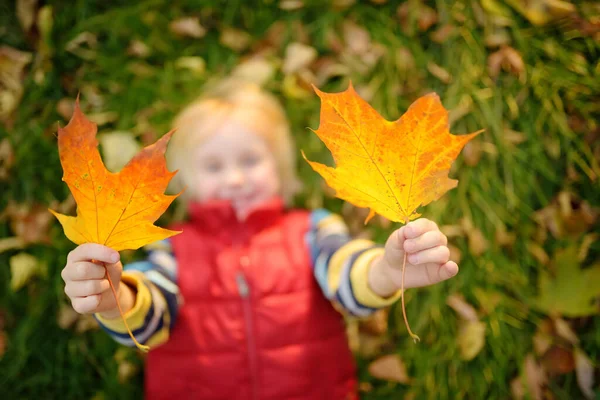 Malý Chlapec Baví Během Procházky Lese Slunečného Podzimního Dne Hravé — Stock fotografie