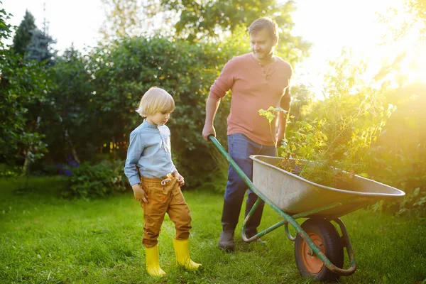 Gärtner Mann Und Kleines Kind Schieben Schubkarre Mit Pflanzensämlingen Hinterhof — Stockfoto