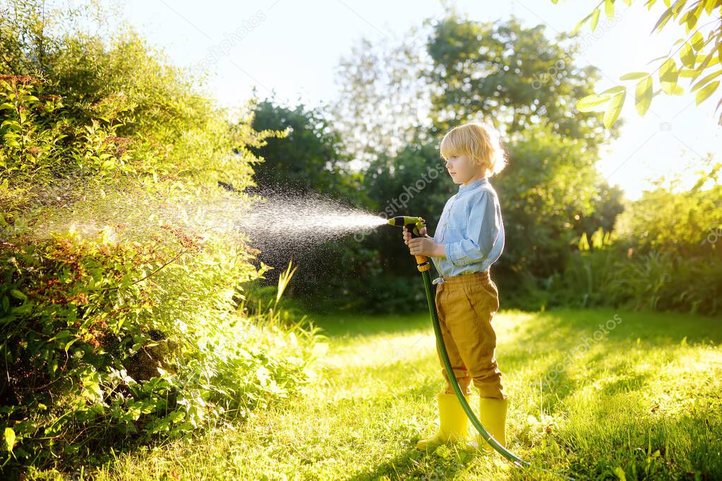 Funny little boy watering plants and playing with garden hose in sunny backyard. Preschooler child having fun with spray of water. Summer outdoors activity for kids.