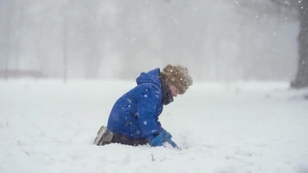 雪の中で新雪と遊ぶのが楽しい男の子 暖かい服 手の手袋 スカーフで身を包んだ子供 雪の冬の日に自然の中で子供のためのアクティブな屋外レジャー — ストック動画