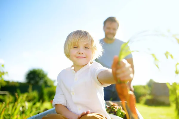 Glücklicher Kleiner Junge Der Sich Einem Warmen Sonnigen Tag Einer — Stockfoto