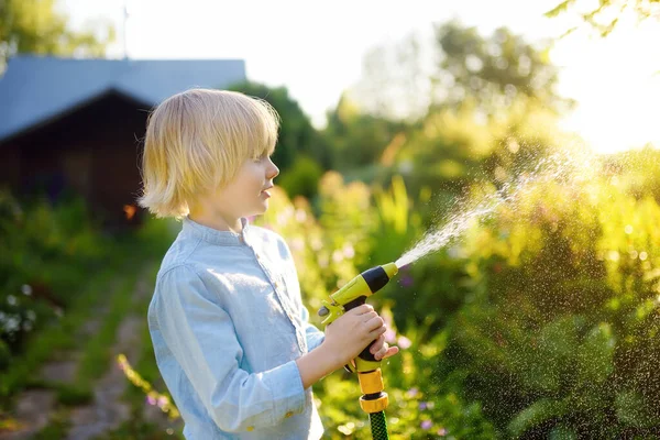 Grappig Jongetje Besproeien Planten Spelen Met Tuinslang Met Sproeier Zonnige — Stockfoto