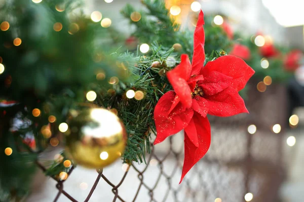 Foto Primo Piano Natale Capodanno Decorazioni Recinzione Decorata Con Una — Foto Stock