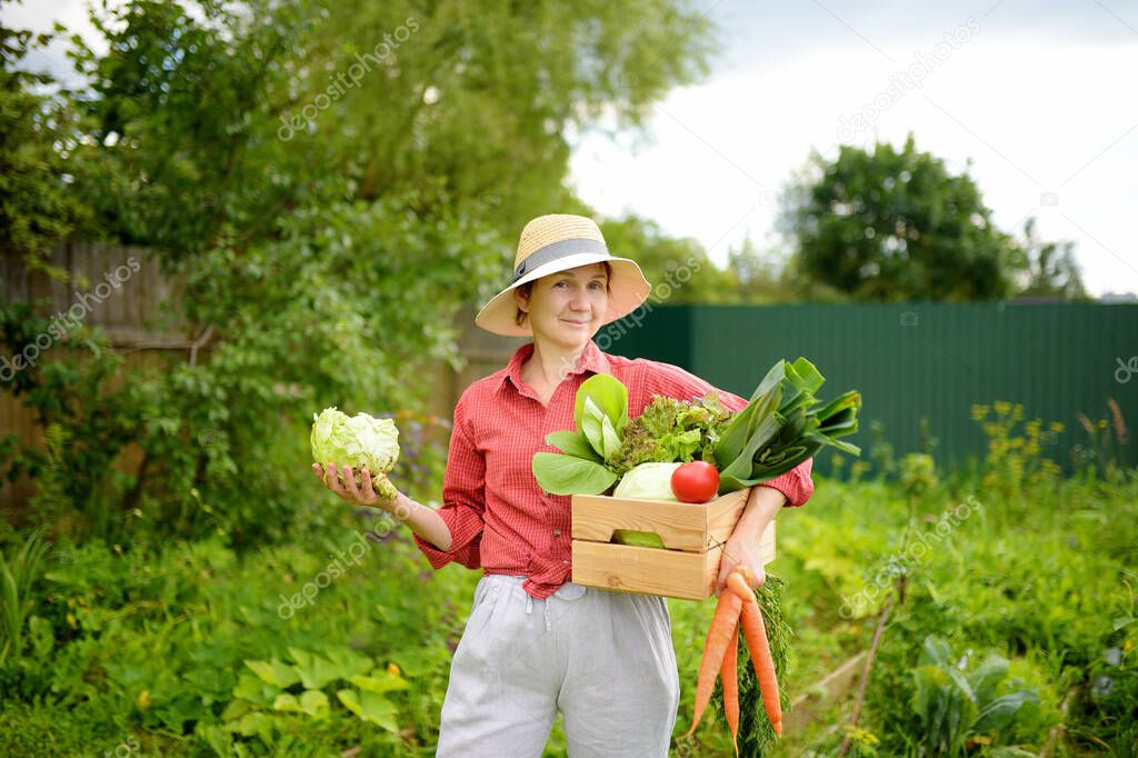 Woman farmer holding freshly picked organic vegetables. Healthy vegetarian food. Harvesting. Local business
