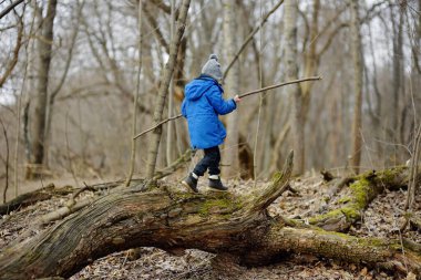 Küçük bir çocuk ilkbaharın başlarında ormanda yürüyüş yapıyor. Çocuk bahar ya da sonbahar günü oynayıp eğleniyor. Çocuklar için açık hava oyunları.