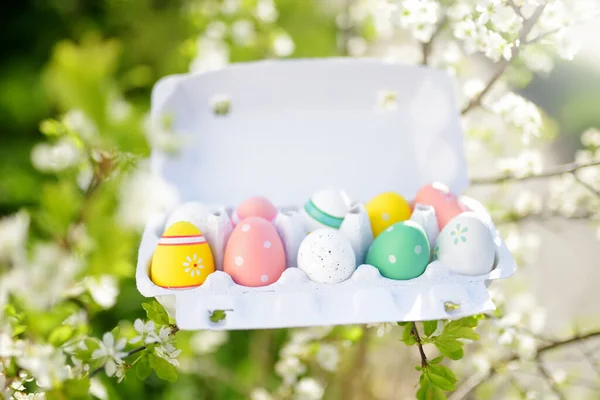 Cardboard Egg Box Package Multicolored Easter Eggs Branches Blossoming Apple — Stock Photo, Image