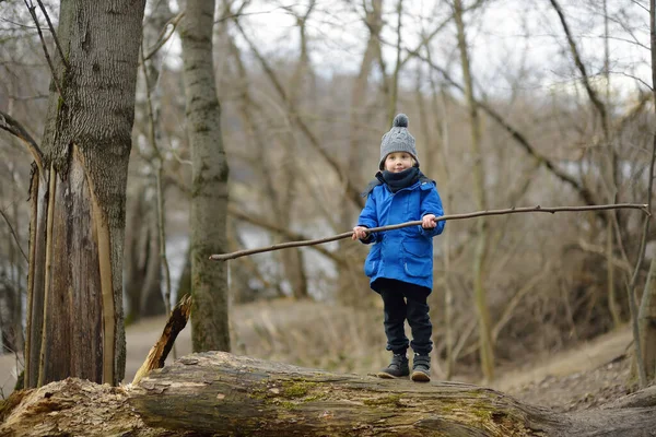 Kleine Jongen Wandelen Het Bos Een Vroege Lente Kid Spelen — Stockfoto