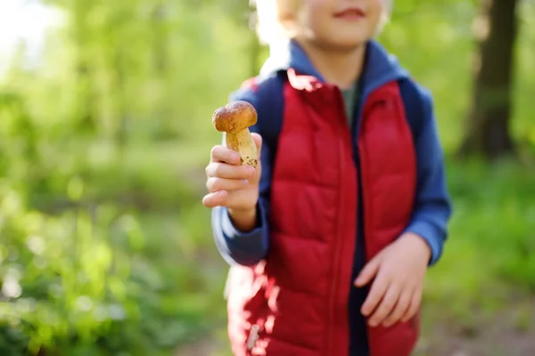 早熟的孩子和他的父母在森林里散步时采摘可食用的蘑菇 快乐的男孩在森林远足与他的爸爸 — 图库照片