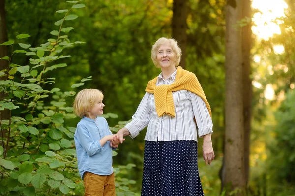在夏季公园散步时 可爱的孙子牵着他快乐的年老祖母的手 两代人的家庭在一起 优质家庭时间 — 图库照片