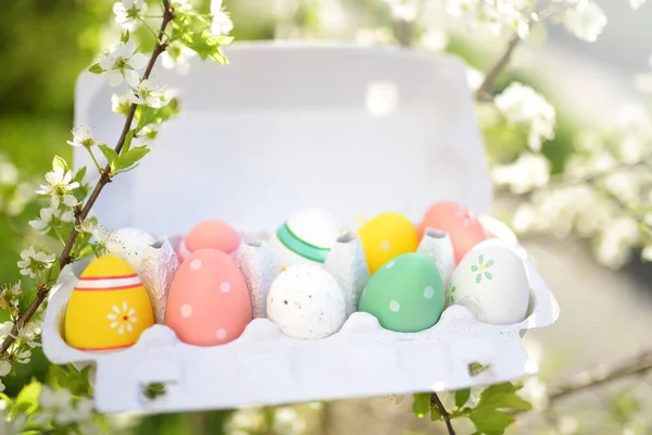 Cardboard Egg Box Package Multicolored Easter Eggs Branches Blossoming Apple — Stock Photo, Image