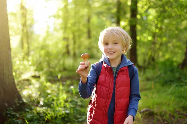 Bambino Prescolare Raccogliere Fungo Commestibile Durante Passeggiata Nella Foresta Con — Foto Stock