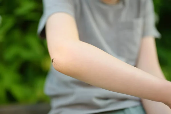 蚊の子供の手の上に座っている グナット 吸い血だ 虫の噛みの危険性 自然の中で散歩中の安全の子供のための防虫剤を使用 — ストック写真