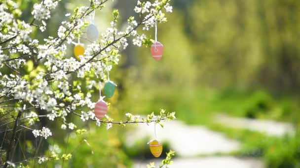 Flerfärgade Påskägg Som Hänger Gren Ett Blommande Äppelträd Traditionell Äggjakt — Stockvideo