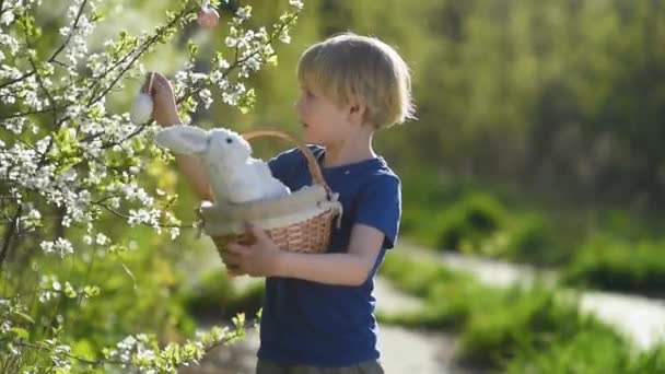 Netter Junge Hält Weidenkorb Mit Weißem Spielzeugkaninchen Während Der Jagd — Stockvideo