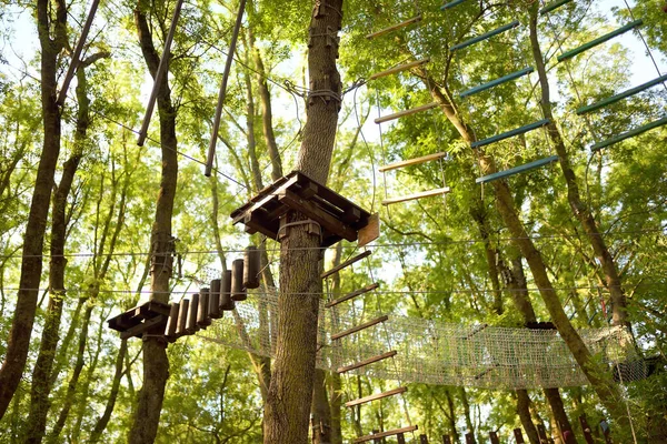 Adventure Park Children Ropes Stairs Bridges Woods Tall Trees Climbing — Stock Photo, Image