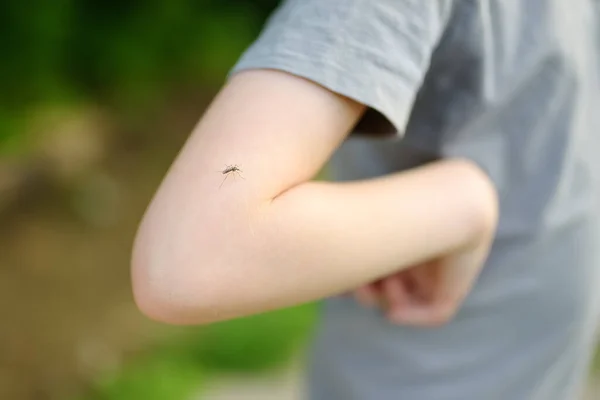 蚊子坐在孩子的手上 Gnat吸血 昆虫叮咬的危险 在大自然漫步时使用驱蚊剂 以保护儿童安全 — 图库照片