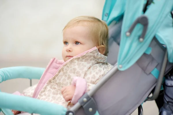 Förtjusande Liten Flicka Rider Barnvagn Promenaden Aktiv Fritid Och Promenader — Stockfoto