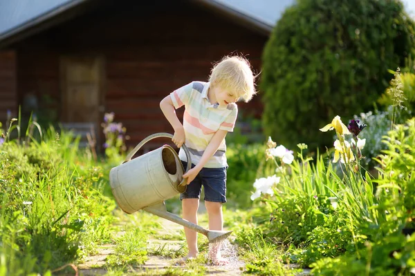 Słodki Chłopiec Podlewanie Roślin Ogrodzie Letni Słoneczny Dzień Mamusia Mała — Zdjęcie stockowe