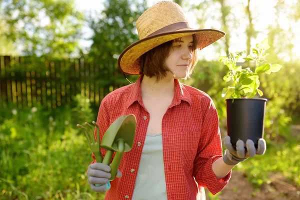 Mujer Joven Sosteniendo Herramientas Jardinería Plántulas Macetas Plástico Jardín Doméstico — Foto de Stock