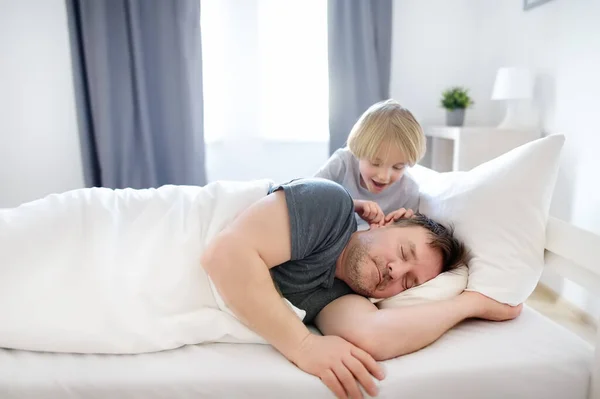 Little Child Awake Early Morning Wakes His Sleeping Father Bed — Stock Photo, Image