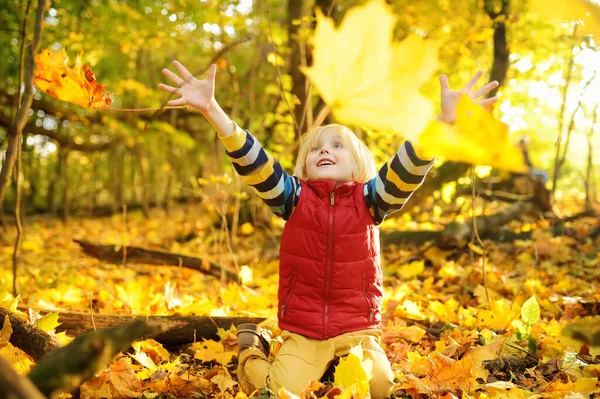 Kleine Jongen Die Plezier Heeft Tijdens Een Wandeling Het Bos — Stockfoto