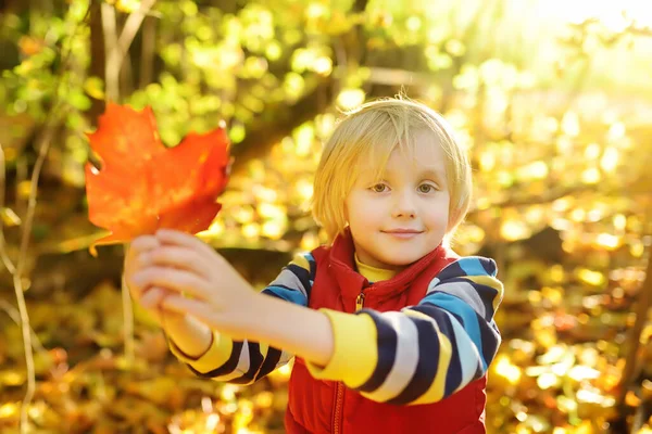 Kleiner Junge Beim Waldspaziergang Einem Sonnigen Herbsttag Kind Spielt Mit — Stockfoto