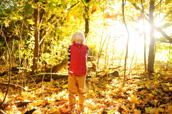 Bambino Che Diverte Durante Una Passeggiata Nella Foresta Durante Soleggiata — Foto Stock