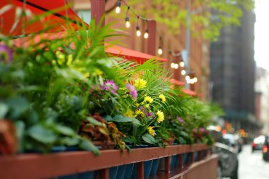 Manhattan 'da bir sokak kafesi. Şemsiyelerin altında açık hava restoranı ve çiçeklerle süslü moda dekorasyonu, dekoratif bitkiler ve el fenerleri..
