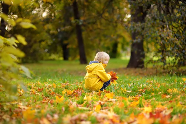 秋天阳光灿烂的日子 小男孩在森林里散步时很开心 孩子们在玩枫叶 家庭在大自然中的活跃时间 和小孩一起远足树叶沙沙作响 — 图库照片
