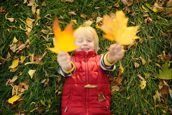 Kleine Jongen Die Plezier Heeft Tijdens Een Boswandeling Zonnige Herfstdag — Stockfoto