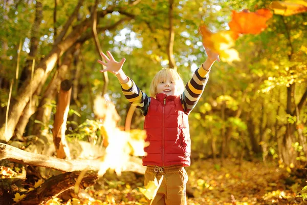 秋の晴れた日に森の中を散歩中の小さな男の子 カエデの葉を遊んでいる子供 赤ん坊は葉を投げ上げる 自然の中でアクティブな家族の時間 小さな子供と一緒にハイキング 葉がざわめき — ストック写真