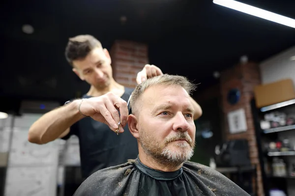 Hairdresser is cutting hair of handsome bearded mature man in salon. Stylist making hairstyle for client in barbershop. Services of a professional stylist. Fashion haircut for men