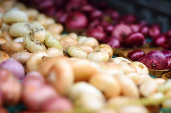 Fresh Bio Onion Showcase Supermarket Street Farmer Market Typical Local — Stock Photo, Image