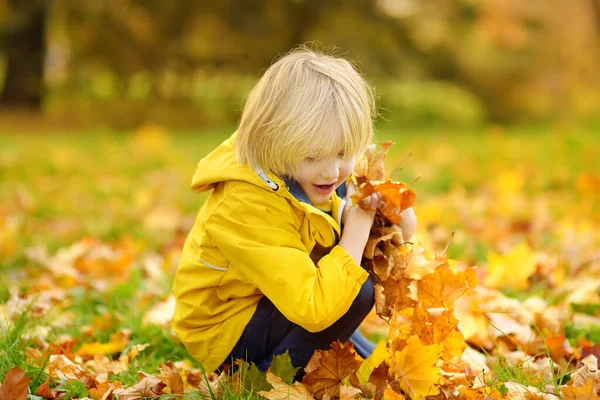 秋の晴れた日に森の中を散歩中の小さな男の子 カエデの葉を遊んでいる子供 赤ん坊は葉を投げ上げる 自然の中でアクティブな家族の時間 小さな子供と一緒にハイキング 葉がざわめき — ストック写真