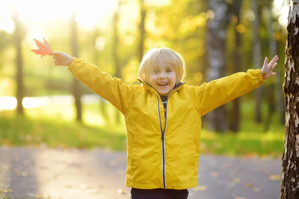 Маленький Мальчик Веселится Время Прогулки Парке Солнечный Осенний День Ребёнок — стоковое фото