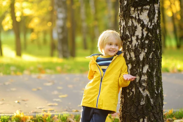 Niño Divirtiéndose Durante Paseo Por Los Abedules Del Parque Público — Foto de Stock