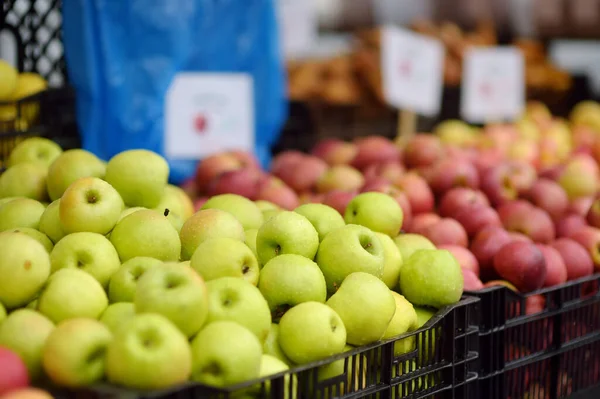 Fresh healthy bio red and green apples on street farmer market. Typical local agricultural fair of weekend. Ripe organic fruits. Sale of vegan food. Small business