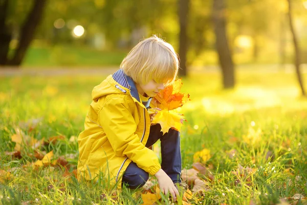 Niño Divirtiéndose Durante Paseo Por Bosque Soleado Día Otoño Niño — Foto de Stock