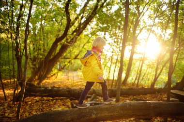 Küçük çocuk güneşli bir sonbahar gününde ormanda gezinirken eğleniyor. Doğada aktif aile zamanı. Küçük çocuklarla yürüyüş. Yapraklar hışırdıyor.
