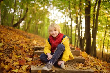 Küçük çocuk güneşli bir sonbahar gününde ormanda gezinirken eğleniyor. Doğada aktif aile zamanı. Küçük çocuklarla yürüyüş. Yapraklar hışırdıyor.