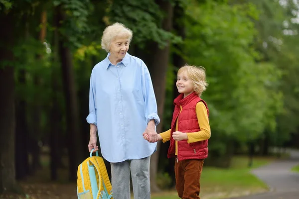 Belle Dame Âgée Aux Cheveux Gris Accompagne Ramasse Bébé École — Photo