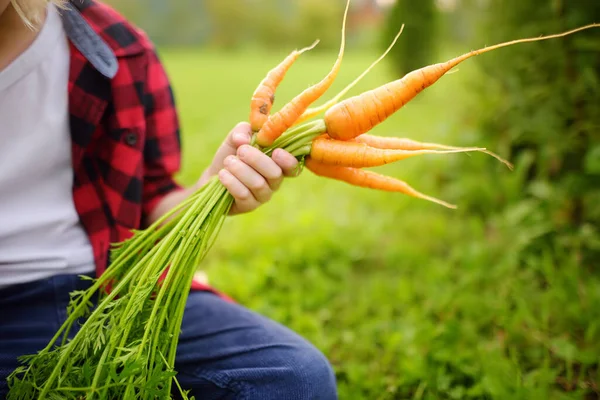 Happy Little Boy Helps Family Harvest Organic Homegrown Vegetables Backyard — Stock Photo, Image