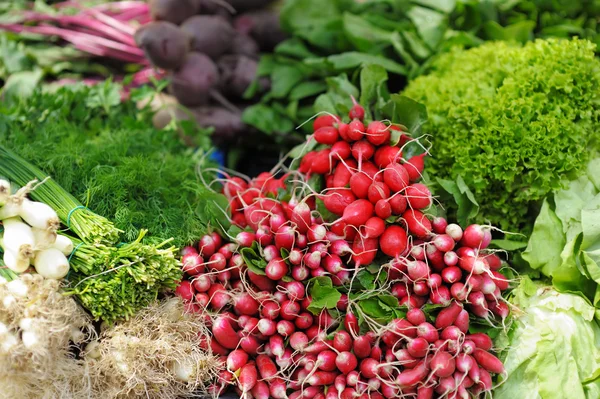 Verdure ed erbe fresche assortite — Foto Stock
