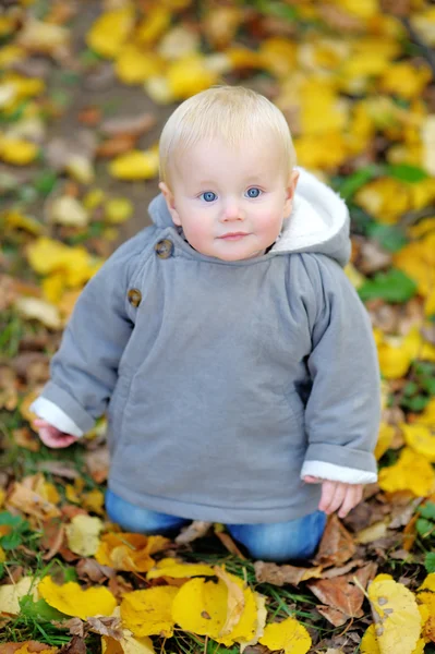 Bambino nel parco autunnale — Foto Stock