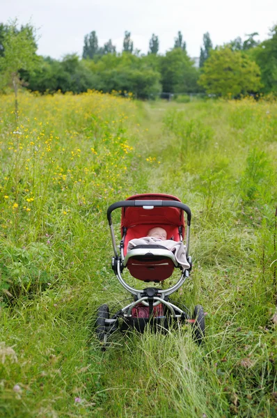 Baby slaapt in wandelwagen — Stockfoto