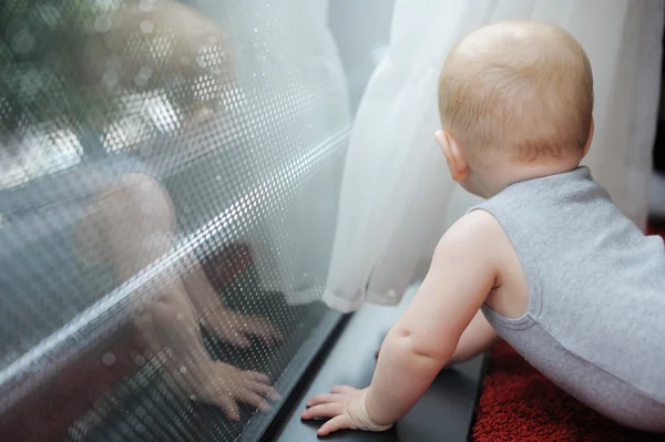 Baby titta efter i fönstret — Stockfoto