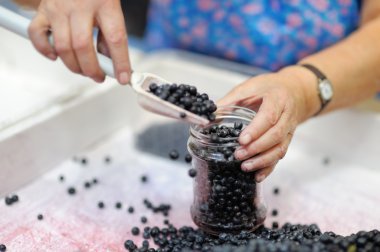 Huckleberry cam kavanoz içinde 